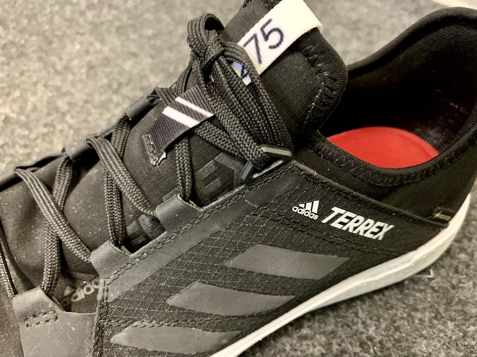 Road Trail Run: adidas Terrex Speed GTX Review: Gore-Tex 3D fit and  Continental Outsole the Highlights
