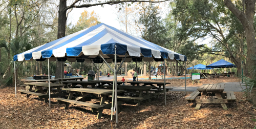 Tent rental at Palmetto Island County Park