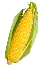 Image result for corn