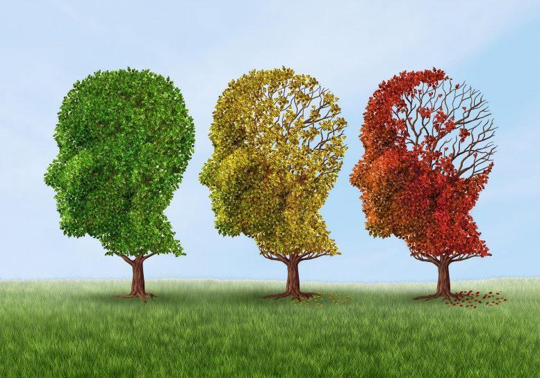Global Dementia Cases Forecasted to Triple by 2050 to More Than 152 Million