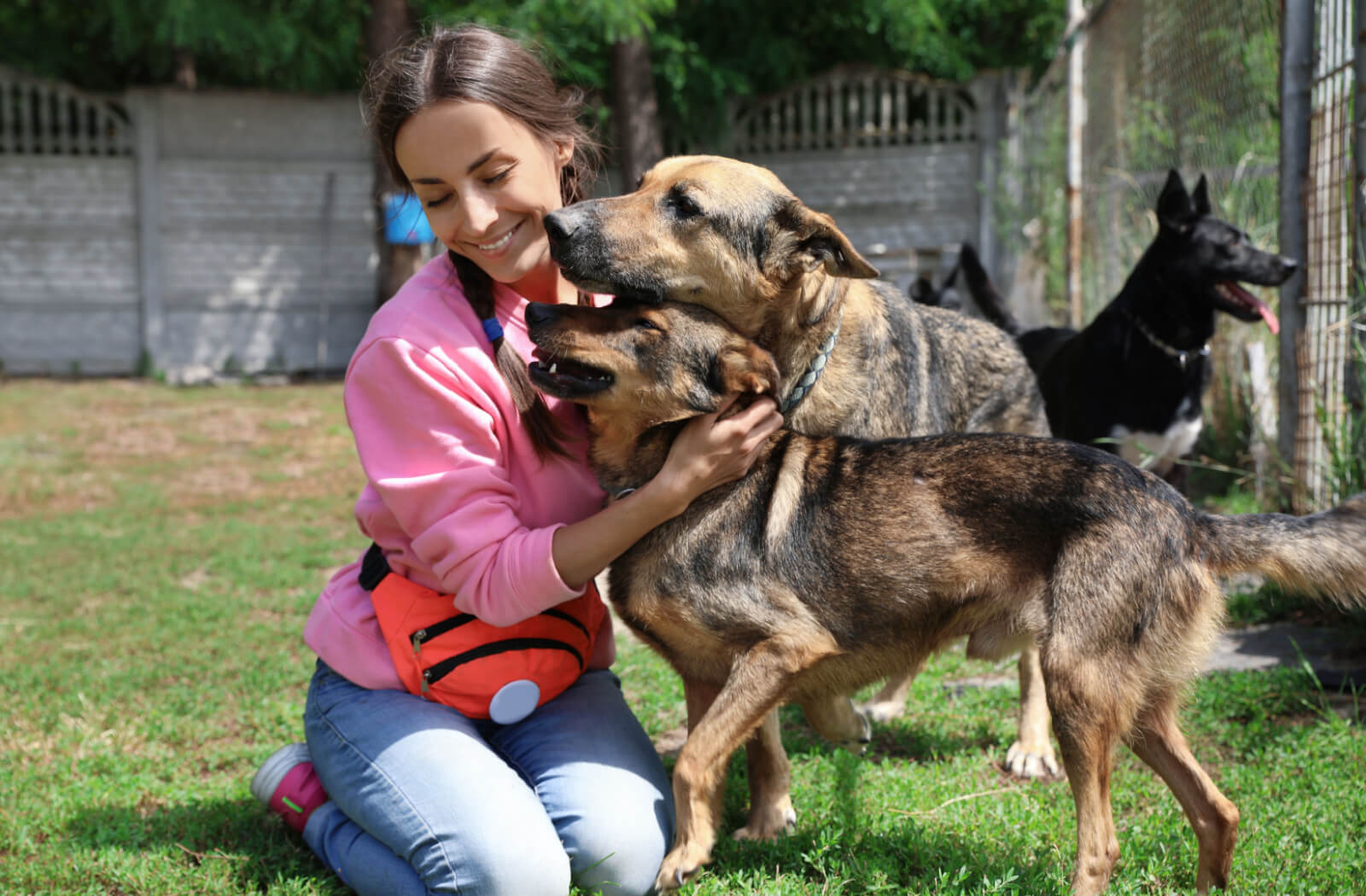 An animal shelter volunteer playing with two homeless dogs.