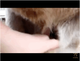 1438584484939112.gif