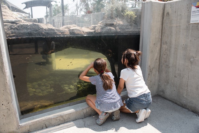Children looking through glass at aquarium