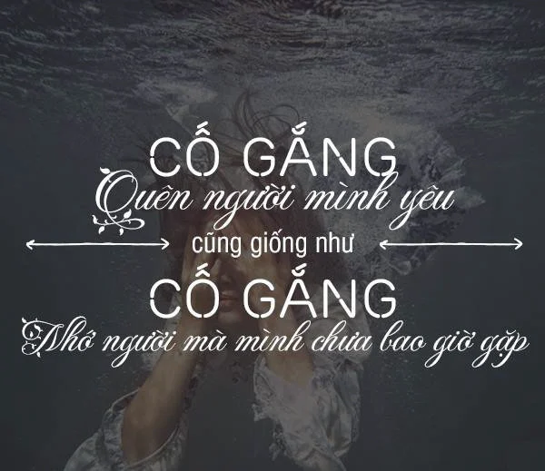 Cập nhật [1001] câu nói hay nhất cho các cặp đôi yêu nhau