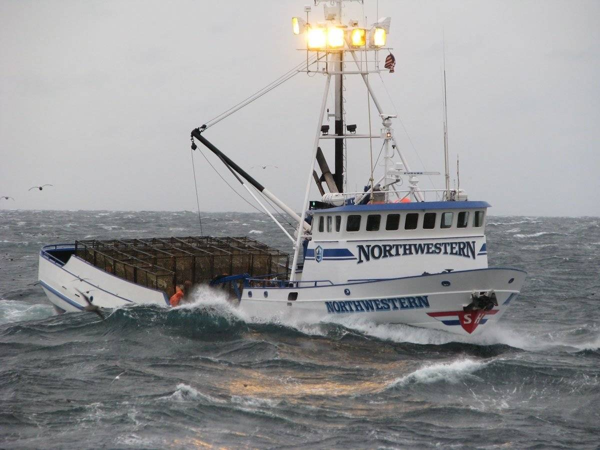 Tipos de Navios