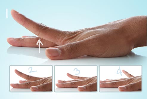 La mano e il suo utilizzo durante le legature. 9 esercizi per migliorare  forza e mobilità - Virna Benzoni