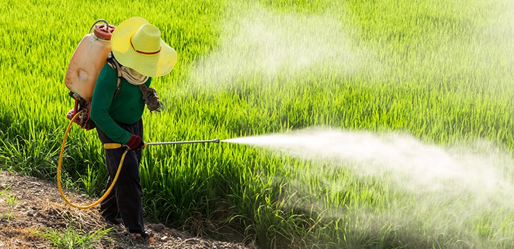 Pesticides are largely contributing to erectile dysfunction and the downfall of male fertility.