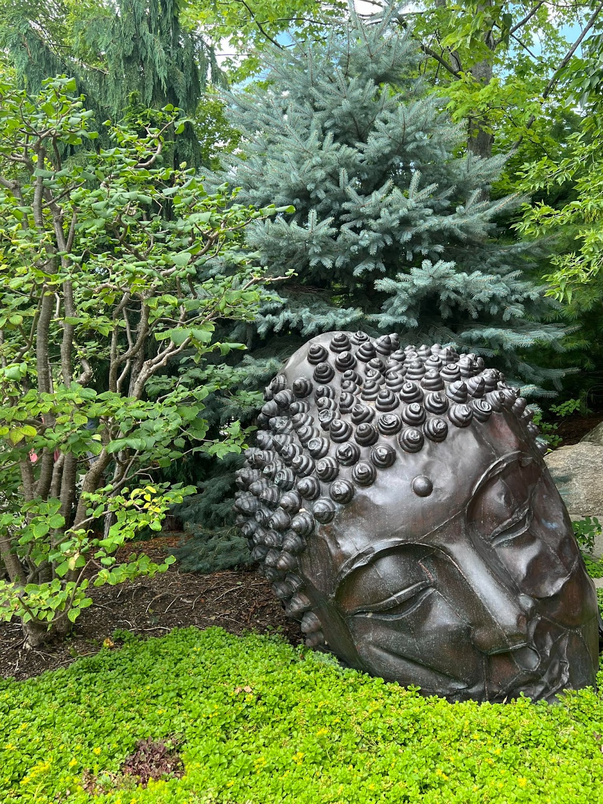 Mariya Tiama's photo of the Meijer Gardens in Grand Rapids, Michigan.