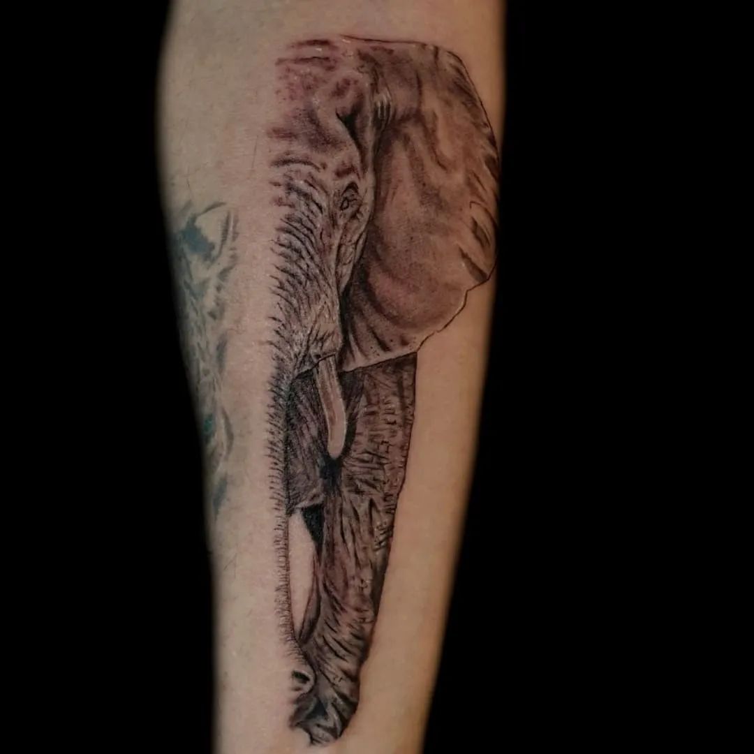 Linework Half Faced Elephant Forearm Tattoo 