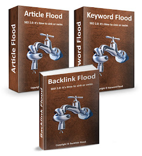 backlink-flood-review