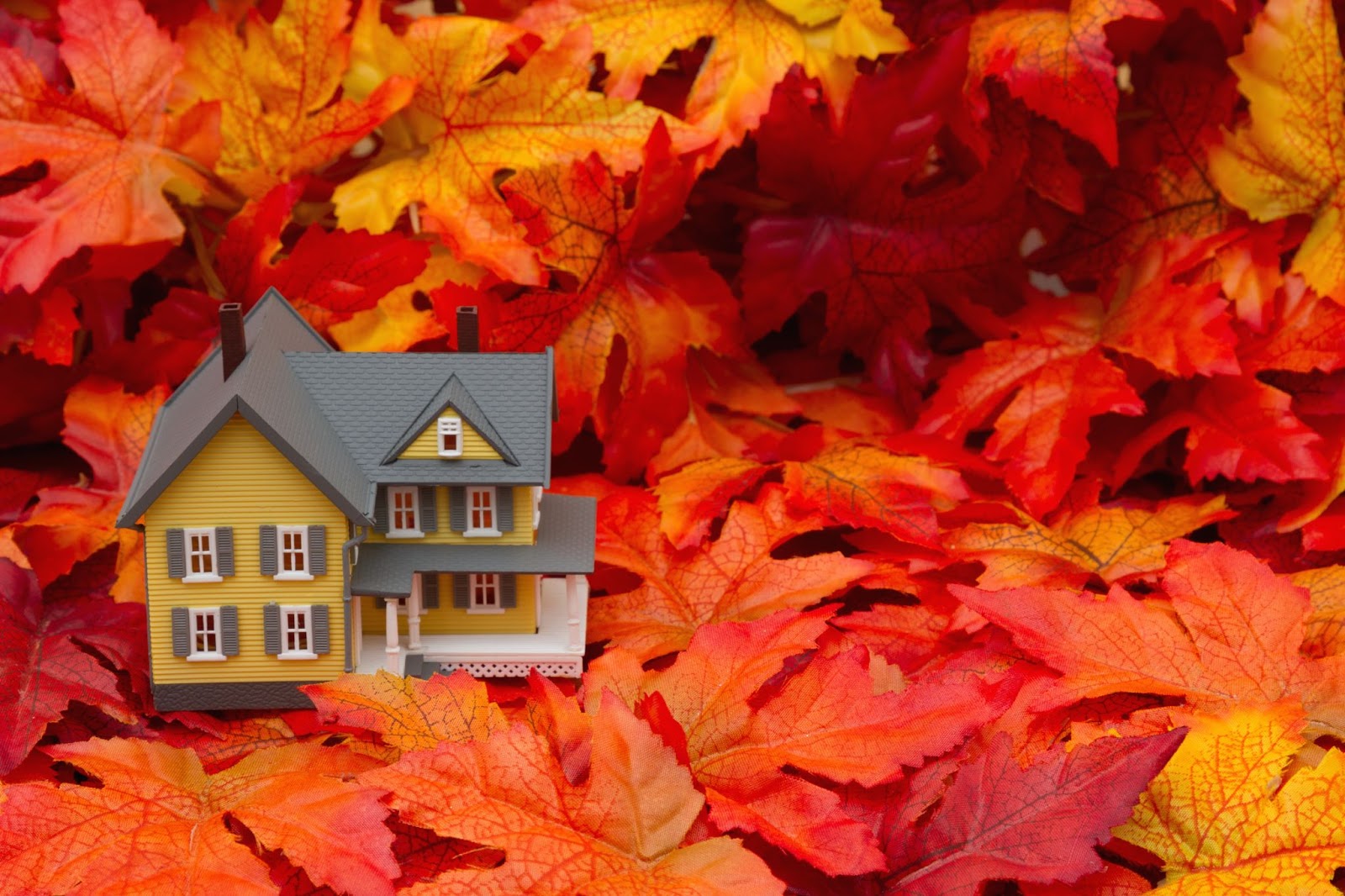 Miniature house sitting on fall leaves.