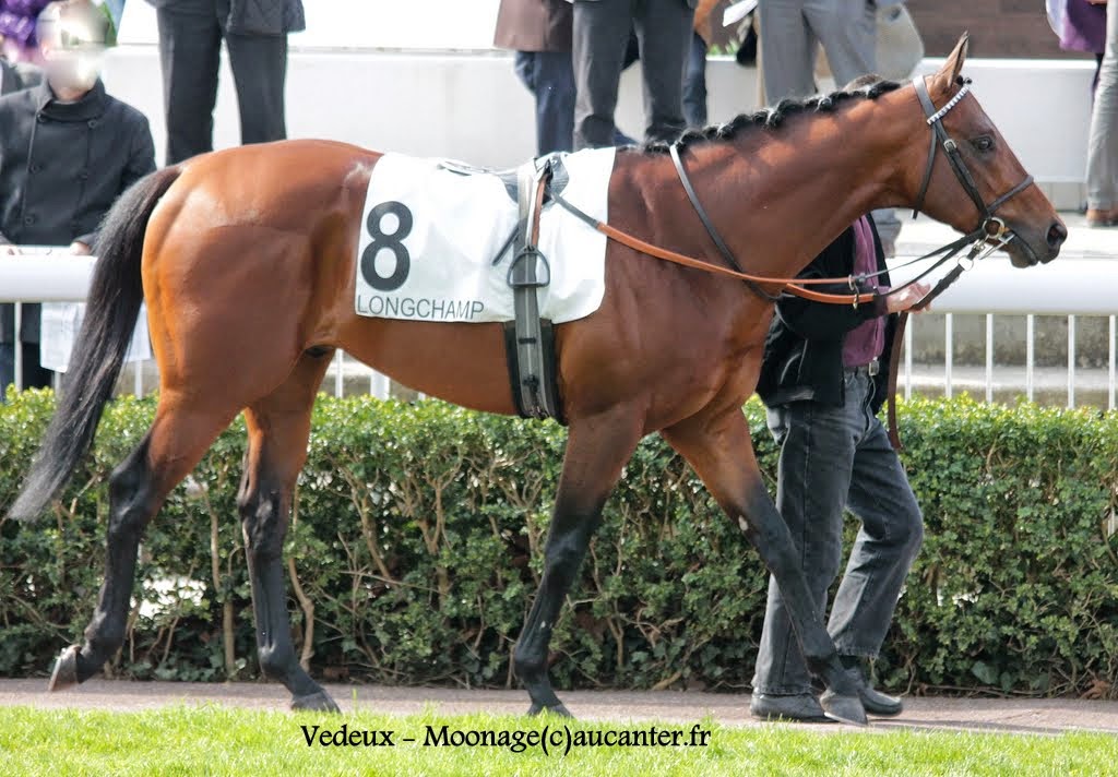 Photos Longchamp 6-04-2015  - Page 2 TVqVrnxxpkF55QAQGX3GSTq58YxcD_RNpO9yQ4LXkAvn=w1024-h712-no