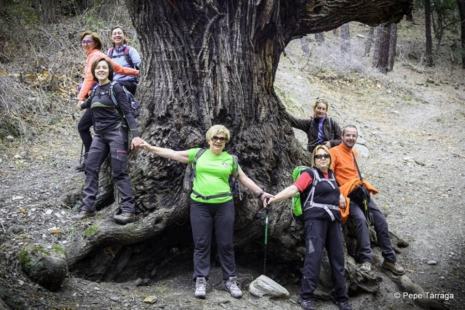 La imagen puede contener: 7 personas, personas sonriendo