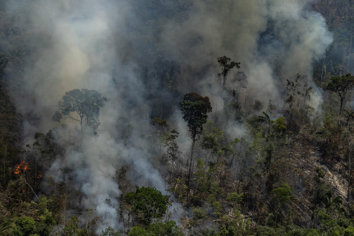 Fire Monitoring in the Amazon in September, 2021. © Victor Moriyama / Greenpeace