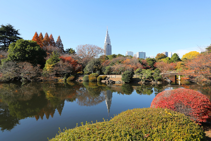 6 สถานที่สำหรับชมดอกซากุระช่วงฤดูใบไม้ผลิยอดฮิตในเมืองโตเกียว ที่ไม่ควรพลาด ! 11