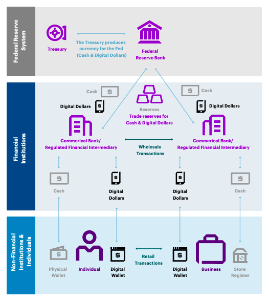 Illustration showing the two-tier distribution model of physical cash and tokenized digital dollars