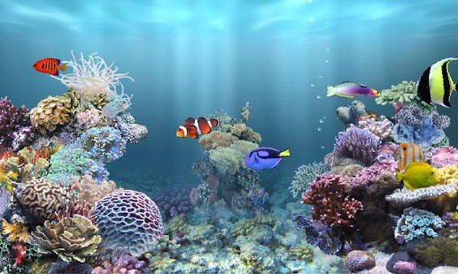 Download aniPet Marine Aquarium HD apk