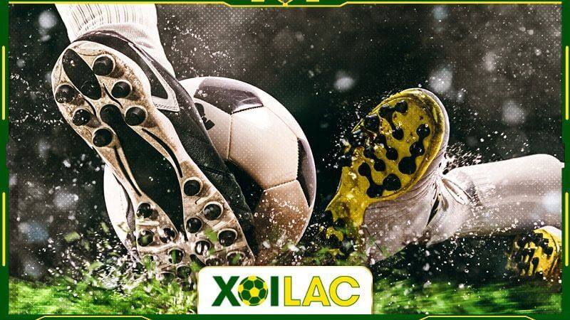 Xoilac TV cập nhật lịch thi đấu của các giải bóng đá lớn