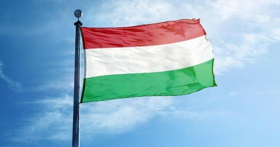 Elfogták és kihallgatták a magyar zászló meggyalázóit | Alfahír