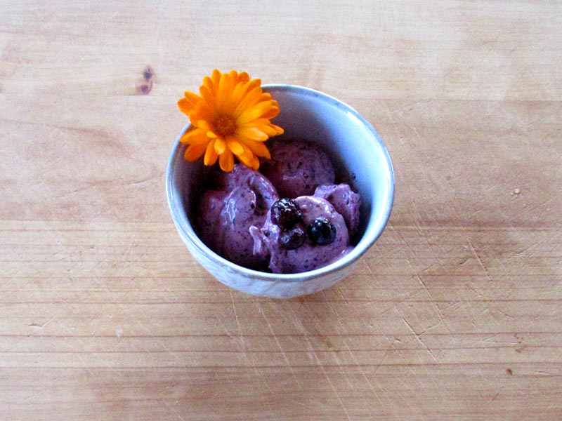 Serve and enjoy Blueberry Bliss healthy ice cream.