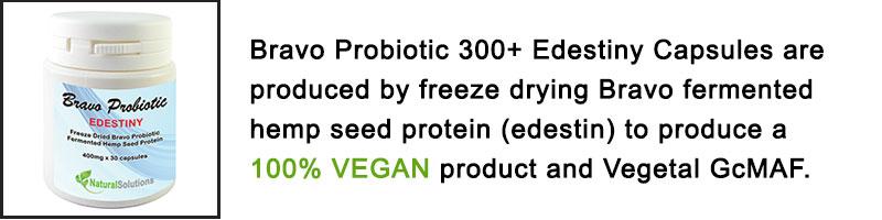 Bravo Probiotic 300+ Edestiny Capsules are produced by freeze drying Bravo fermented hemp seed protein (edestin) to produce a 100% VEGAN product and Vegetal GcMAF.