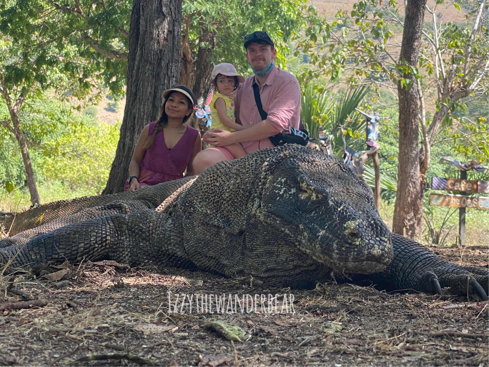 Komodo Island - Taman Nasional Komodo