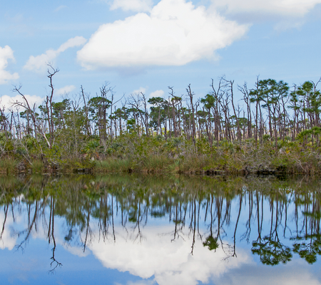 Big Pine Key is known for its natural beauty and wildlife