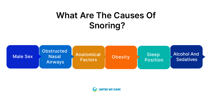 Causes of Snoring 