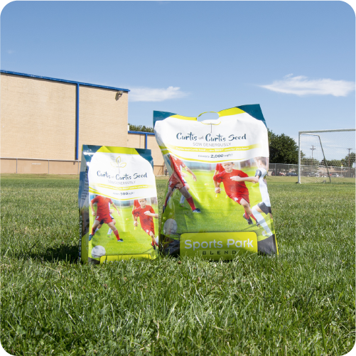 sports lawn blend