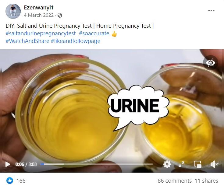 Can pregnancy be determined using urine and salt- Read Fact Check