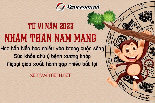 tu-vi-tuoi-nham-than-nam-2022-nam-mang-1992