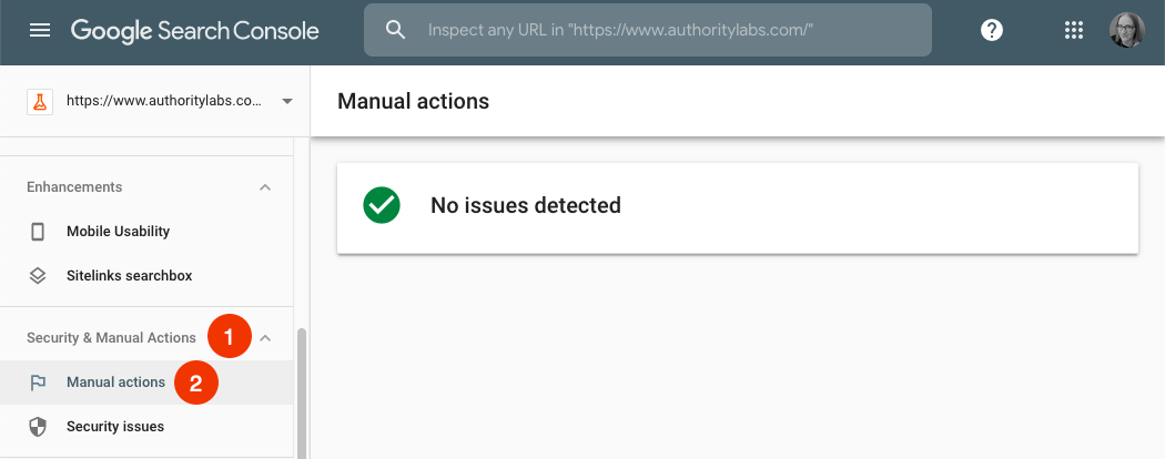 manual actions report in google search console