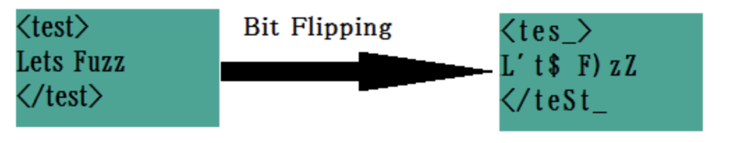 Bit Flipping for Fuzz Testing