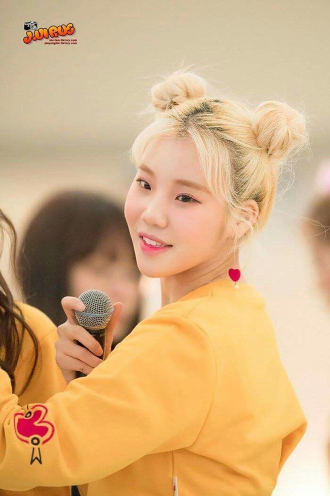 Rambut Pucca Idol Kpop jooe