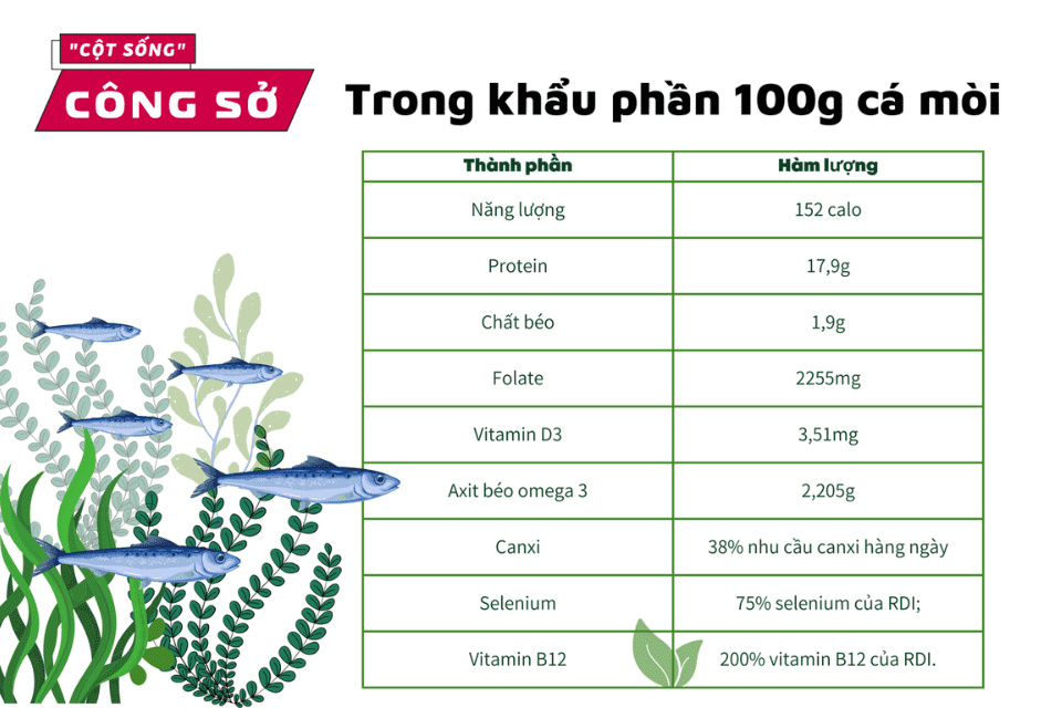 Thành phần dinh dưỡng trong 100g cá mòi