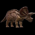 Triceratops