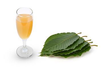 Mitragyna speciosa water in glass and leaves on white background.