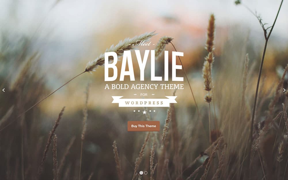 baylie-agency-theme