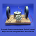 "Proyek dinamo sederhana: Solusi hemat biaya untuk menghasilkan arus listrik"