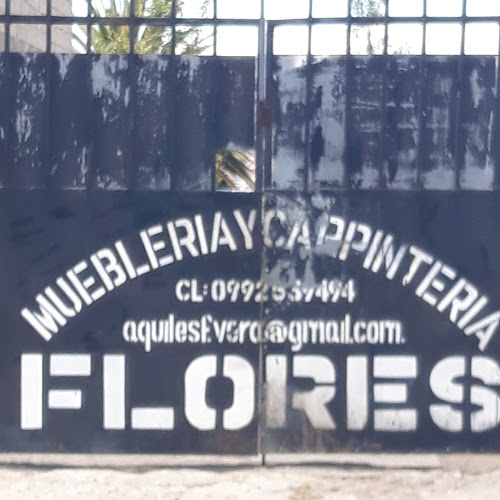 Muebleria Y CarpinterÍa Flores