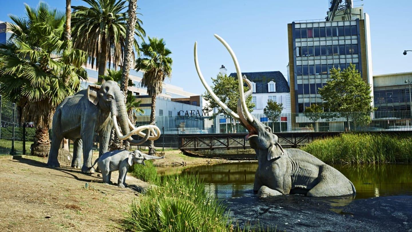 10 Fascinating Facts About the La Brea Tar Pits | Mental Floss