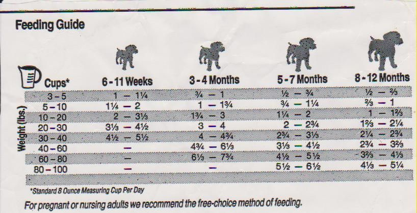 How Much To Feed An American Pit Bull Terrier Puppy Answered 