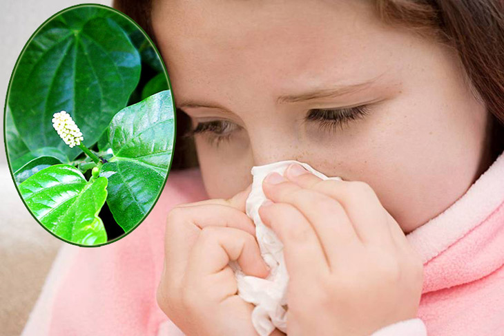 TOP 15 cách trị viêm xoang tại nhà hiệu quả nhất hiện nay 17 Cách chữa viêm xoang tại nhà bằng lá lốt giúp giảm triệu chứng bệnh