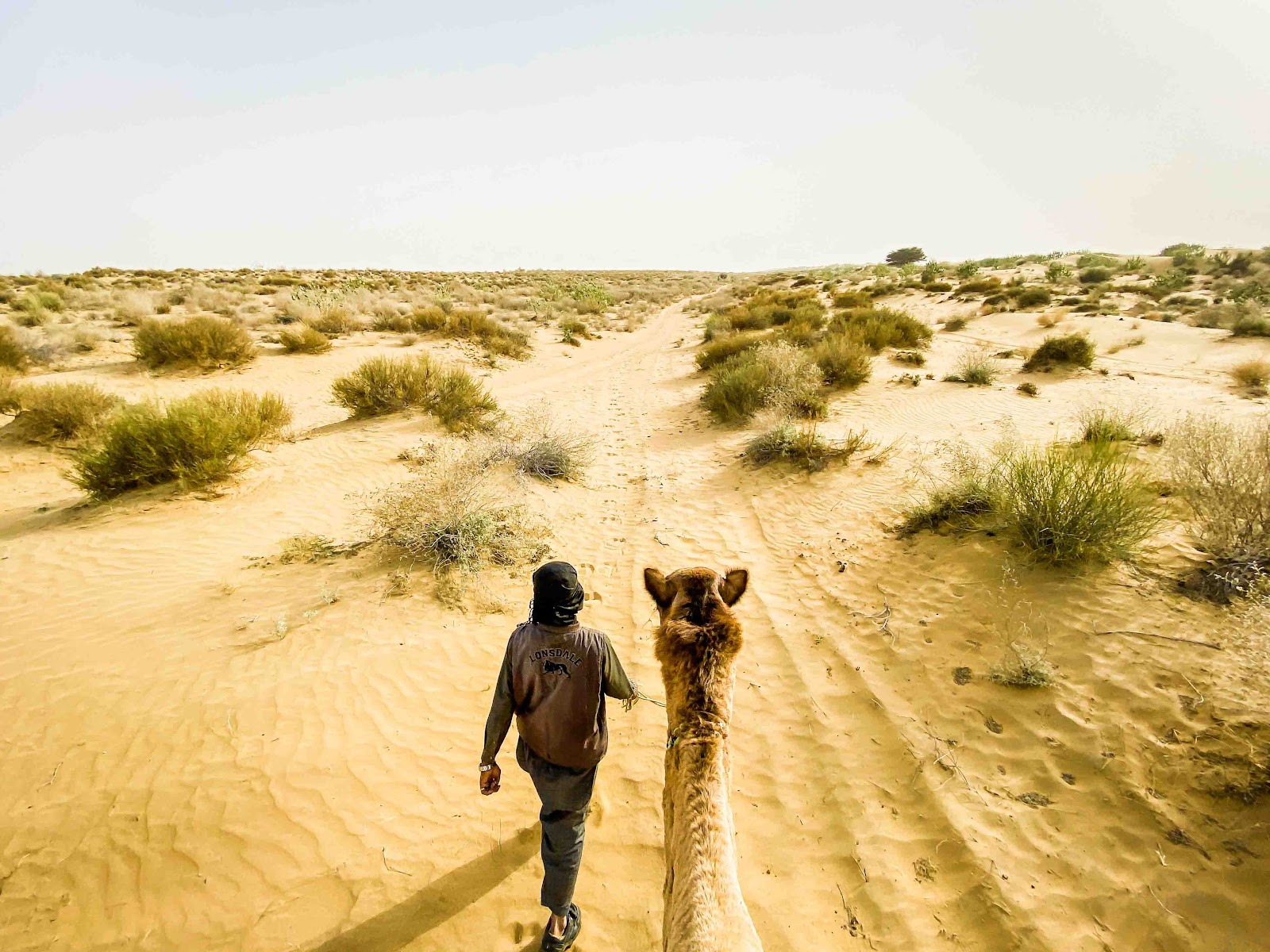 【印度賈沙梅爾】黃金之城 Jaisalmer騎駱駝、睡沙漠體驗兩天一夜，交通、店家推薦、費用全攻略 一覽滿天星斗絕無遺憾｜三八旅客