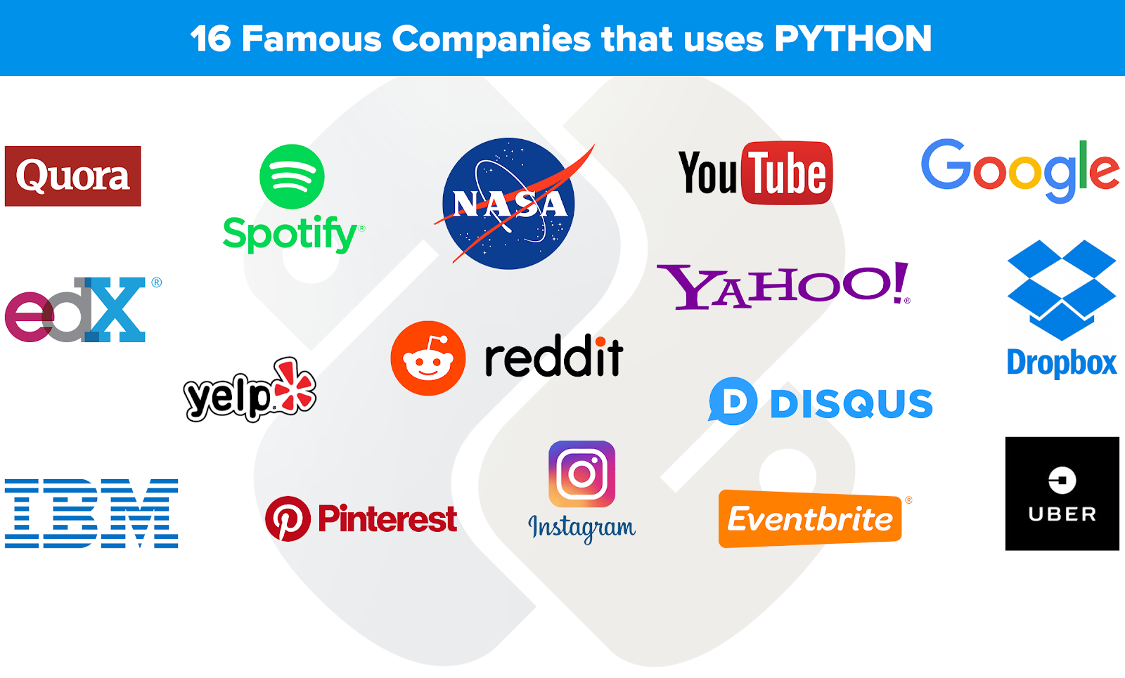 Python popular companies infographic