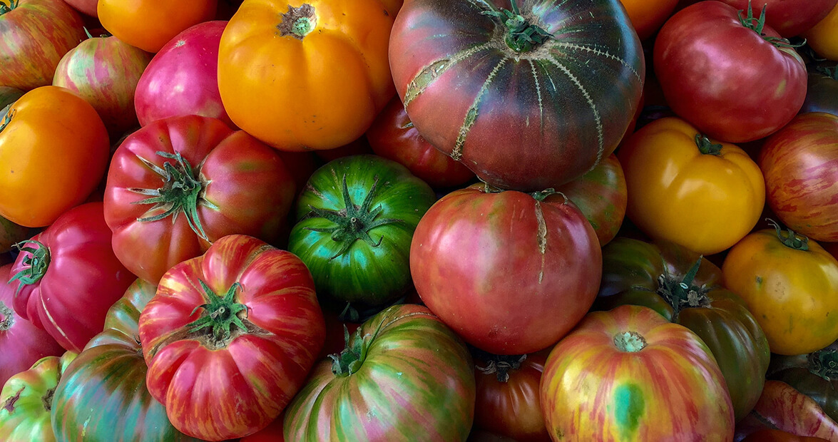 Best Heirloom Tomatoes To Grow