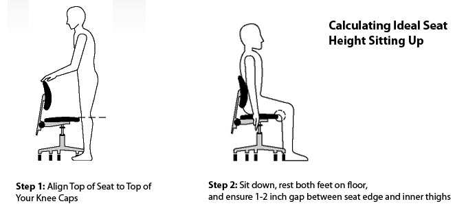 Tính chiều cao lý tưởng của ghế văn phòng khi đứng- Hình minh họa Tín dụng: OSHA