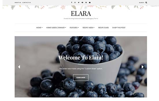 WordPress Themes: Elara