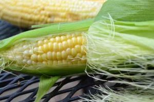  corn-fiber
