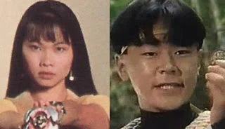 mmpr-zyu-yellow.jpg